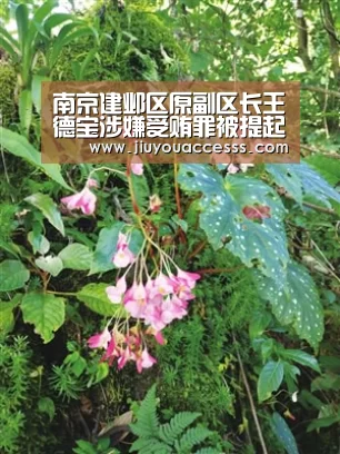 九游体育