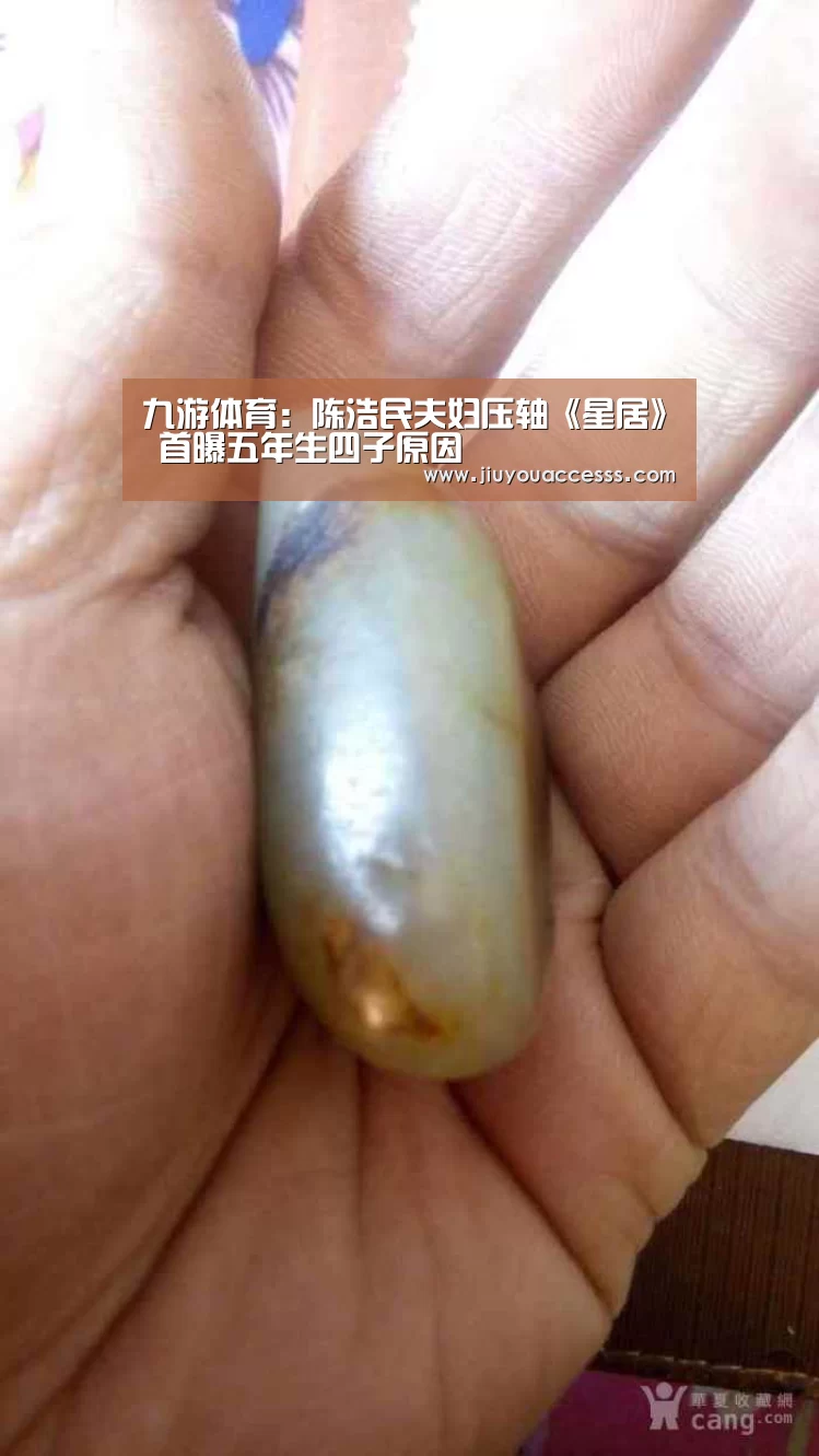 九游体育:陈浩民夫妇压轴《星居》 首曝五年生四子原因(图1) 九游体育